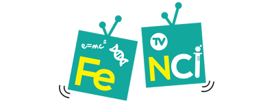 Eğitimdeyiz